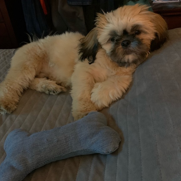 Meet your Posher, Kassandra - Picture 5 of 5